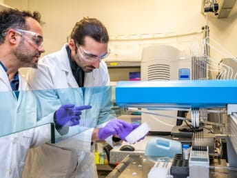 Services mineral assay