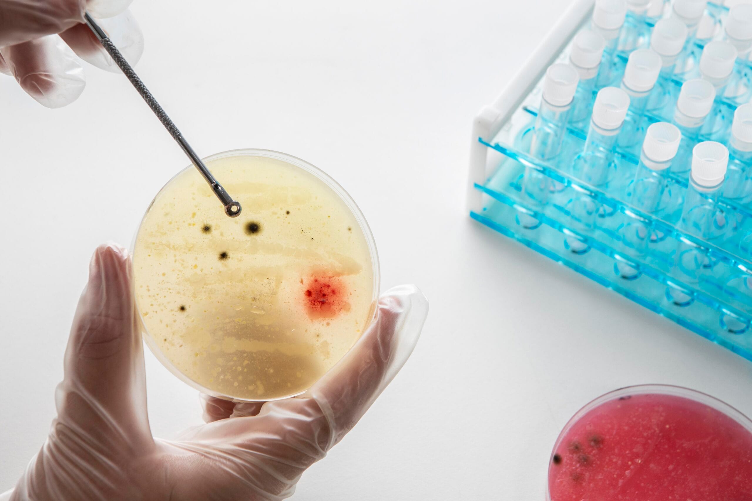 Home still life world science day chemistry composition